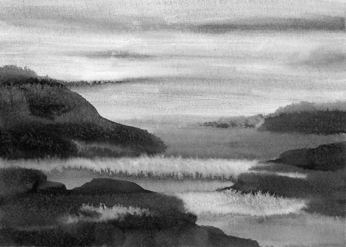 Série Paysages intérieurs - Encre de chine